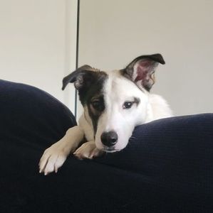 Meet your Posher, Deanna